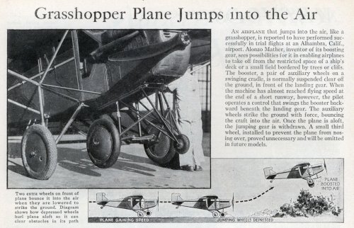 grasshopper_plane.jpg