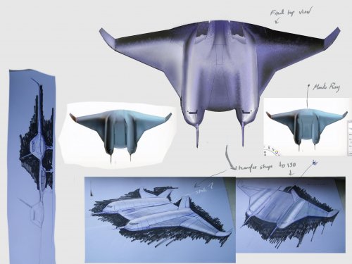 Manta Ray.JPG