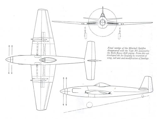 supermarine type 391.jpg