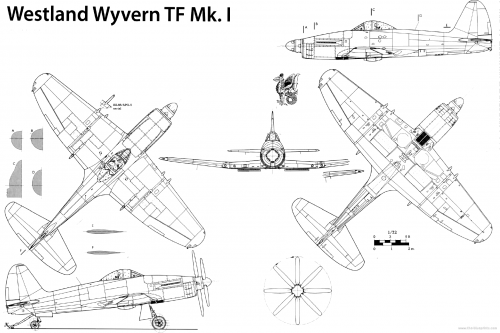 westland-wyvern-tf-mki.png