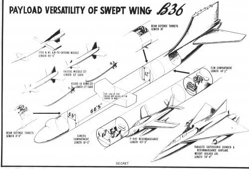 B36 payload.jpg