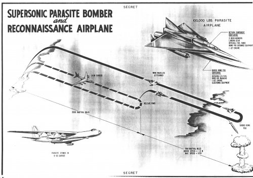 B36 parasite.jpg