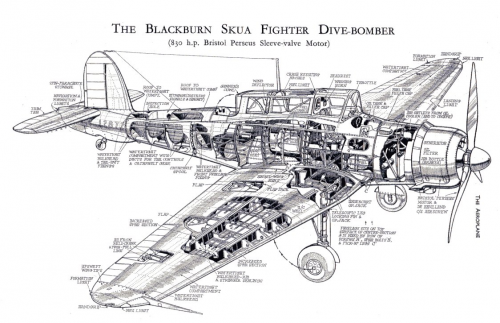 Blacburn Skua.png