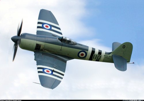 Hawker-Sea-Fury-FB-11.jpg