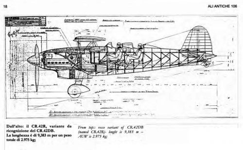 Fiat CR-42R project.jpg