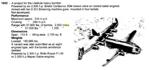 Libellula_heavy_bomber.jpg