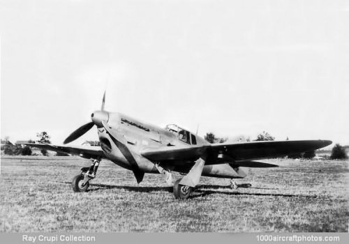 D.513 after modification.jpg