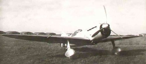 D.514.jpg