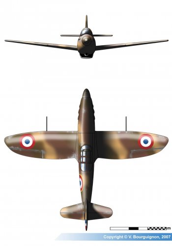 p2.jpg