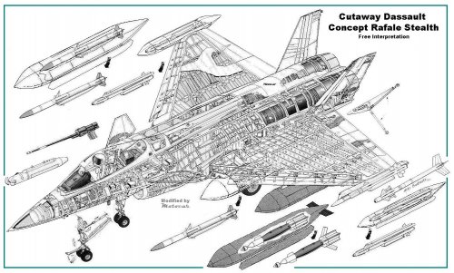 Cutaway Dassault Rafale Stealth.jpg