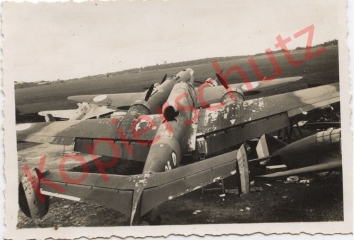 c95510.jpg