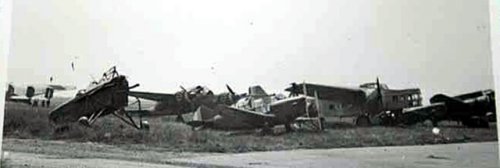 parkin10.jpg