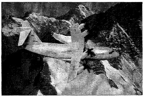1997-ATT-2.jpg