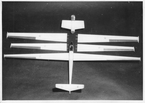 Multiwing glider-01.jpg