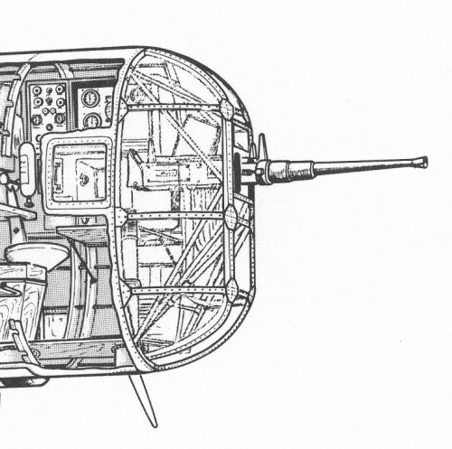 T.5 nose.jpg