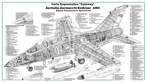 Cutaway Aeritalia-Embraer AMX Biplaza 2.jpg