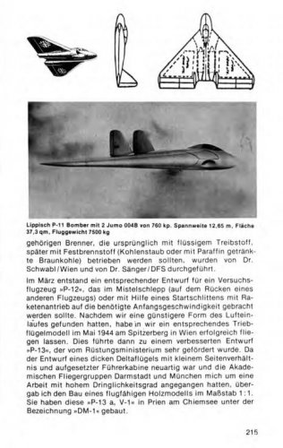 Lippisch P-11 Model Photo--Erinnerungen page 215.JPG