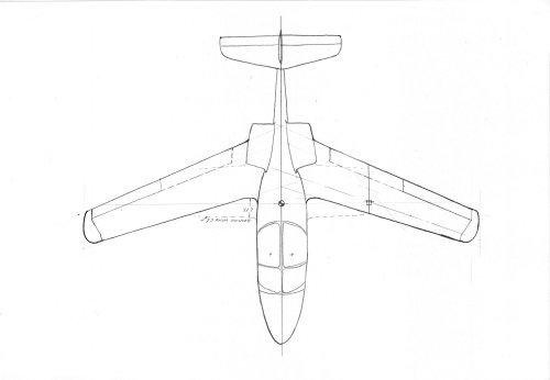 zEaglet Plan View Forward Swept Wing.jpg