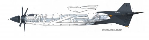 Bell-Ross-Racing-Bird9.jpg