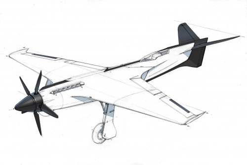 Bell-Ross-Racing-Bird10.jpg