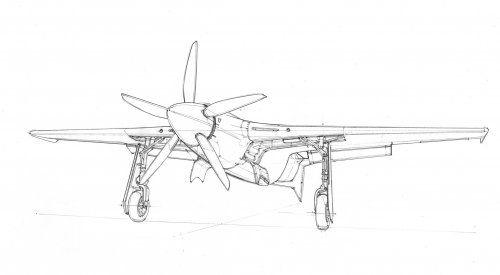 Bell-Ross-Racing-Bird11.jpg