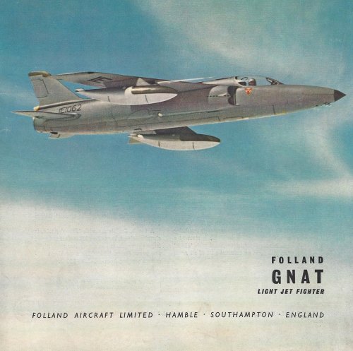 Gnat 1.jpg