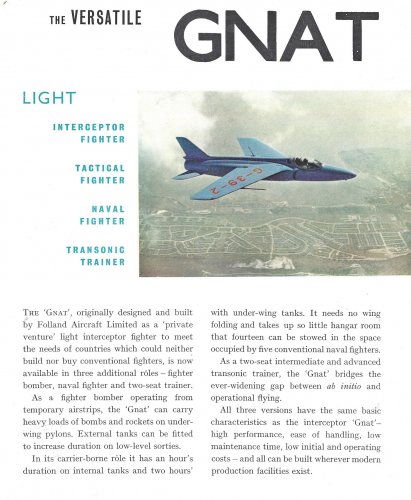 Gnat 1.jpg