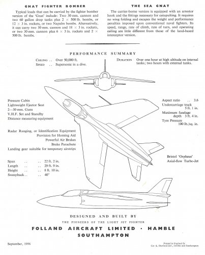 Gnat 4.jpg