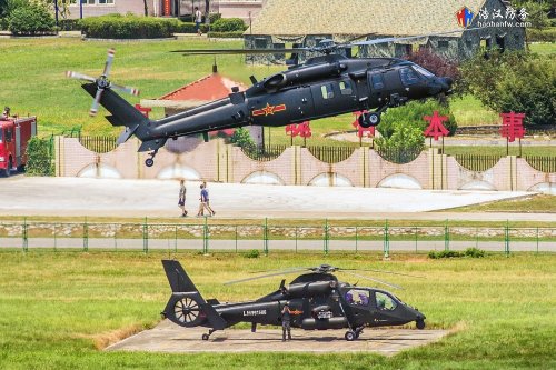 Z-20 at regular PLA AA base - 201808201 - 1xs.jpg