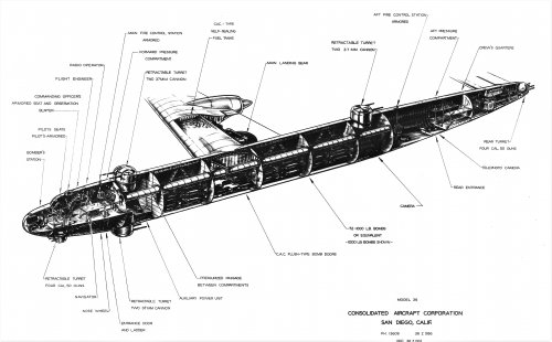 earlyb-36cutaway.jpg