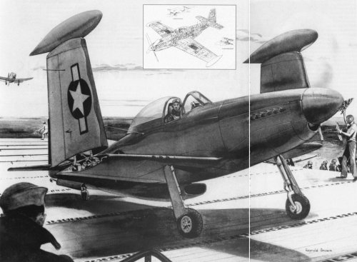 P-51 navy.jpg