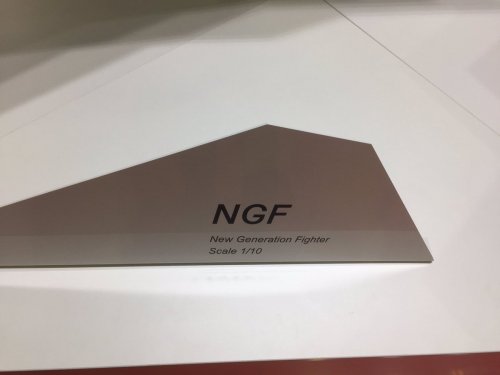NGF6.jpg