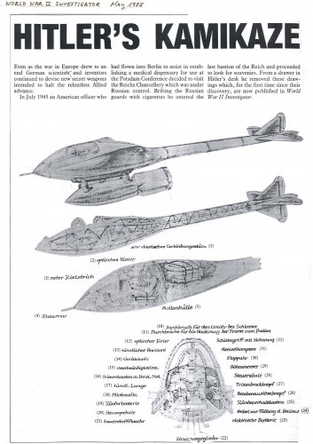 Original Cutaway Lippish Gleiter Bomber.jpg