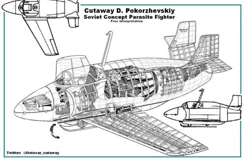 Cutaway D. Pokorzhevskiy.jpg