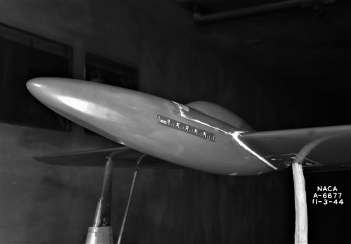 xf-11=.jpg