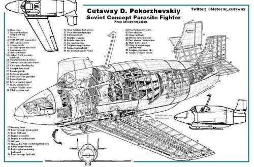 Copia (4) de Cutaway D. Pokorzhevskiy.jpg