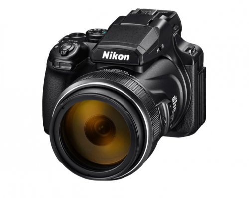 Nikon P1000.JPG