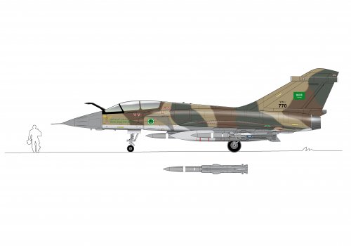 Mirage 4000 profil biplace saoudien Final.jpg