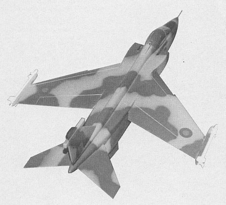 SEPECAT_Jaguar_big_ wing.jpg