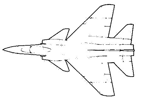 263-tail.jpg