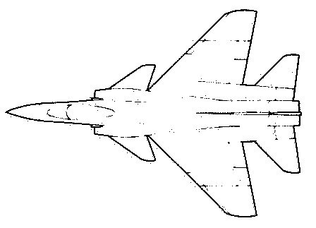 263-tail.jpg