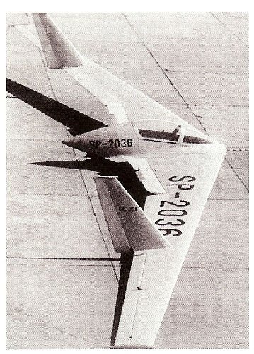 SZD-20X Wampir 2.jpg