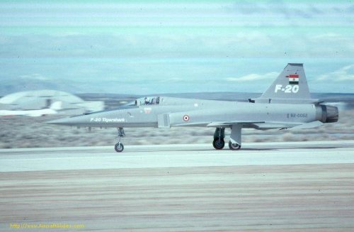 Northrop F-20 Tigershark in Egypt markings.jpg