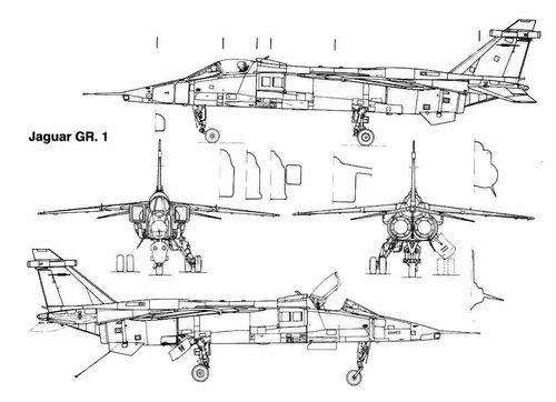 jaguar_1_3v.jpg