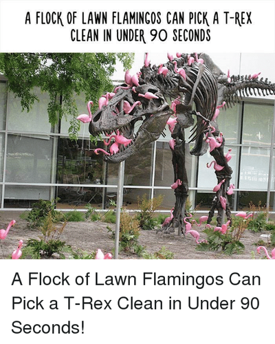 a-flock-of-lawn-flamingos-can-pick-a-t-rex-clean-2557052.png
