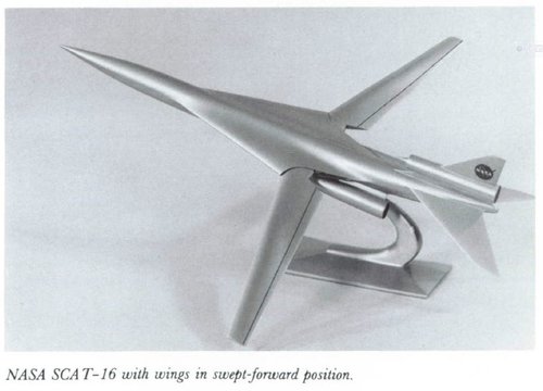 WING EXTENDED SCAT-16.JPG