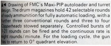 Max-PiP 10.jpg