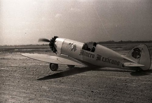 Minero en Vuelo2.jpg