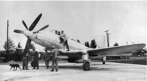 p-75.jpg