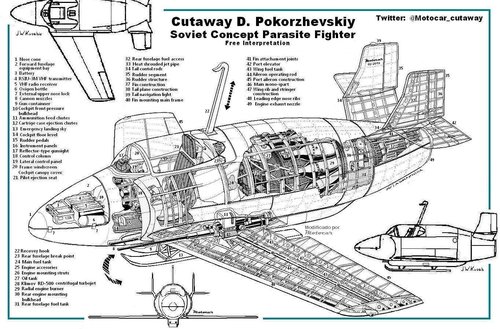 Copia (6) de Cutaway D. Pokorzhevskiy.jpg
